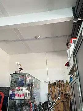 Paul22cm- XXX чат на живо