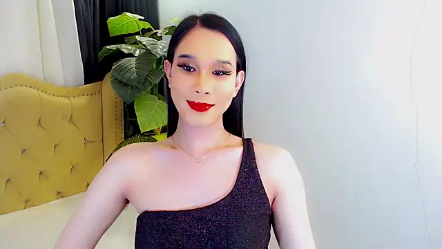 عرض كام LexiLoreOnTop