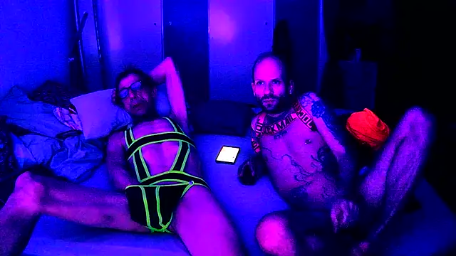 Cojote Webcam show