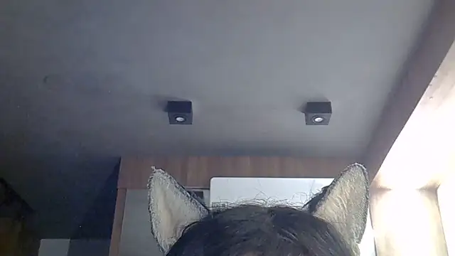 SkinnyKitten 即時 XXX 聊天