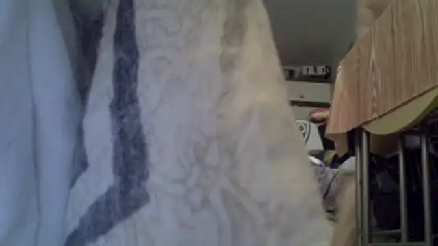 Show webcam de Gaditannus40