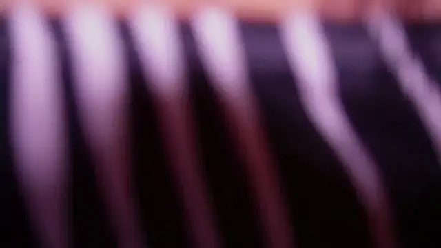 curvyliciousss Live XXX-chat