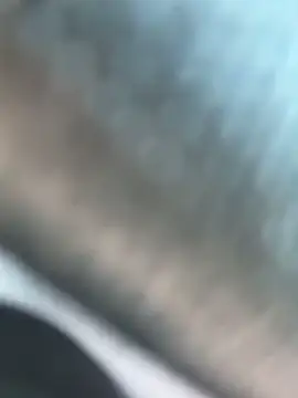 DominickVegas লাইভ XXX চ্যাট
