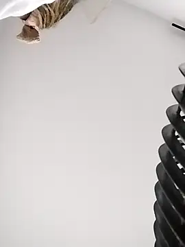 Kaaory Live XXX-chat