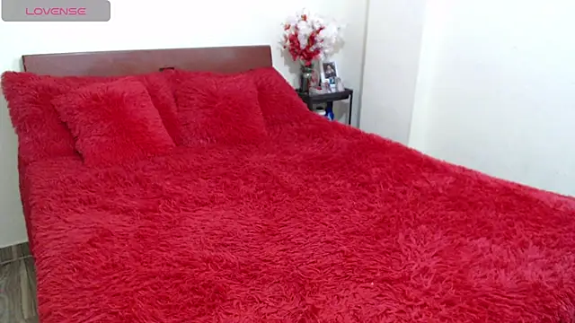 ruby_sky69 Adlı Modelin Canlı XXX Sohbeti