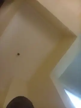 Uncut_EBONYn Webbikameraesitys