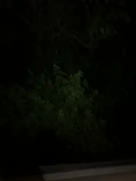 عرض كام Lovleymili
