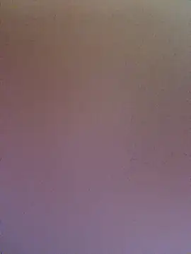 wadmma 在線直播表演
