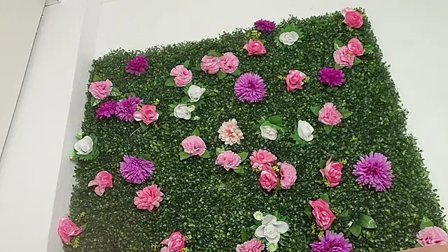alix_rada 现场XXX聊天