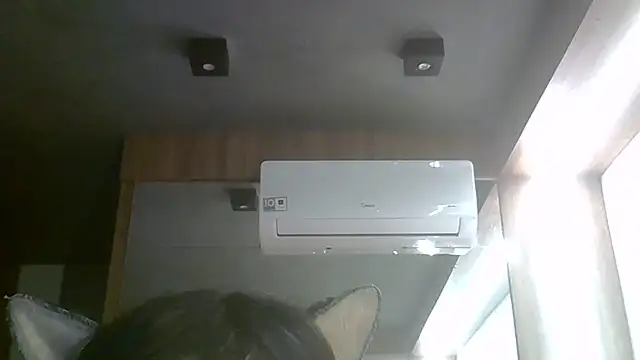 Chat XXX ao vivo de SkinnyKitten