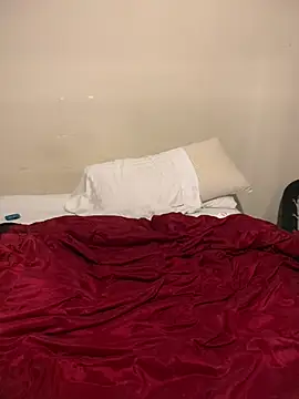 Upallnightnakedlouisiana webkamerás műsora