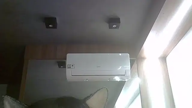 Chat +18 de SkinnyKitten ao vivo