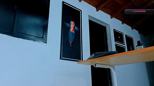 SilvaBranko webkamerás műsora