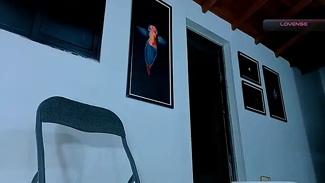 Bilik Sembang Langsung SilvaBranko