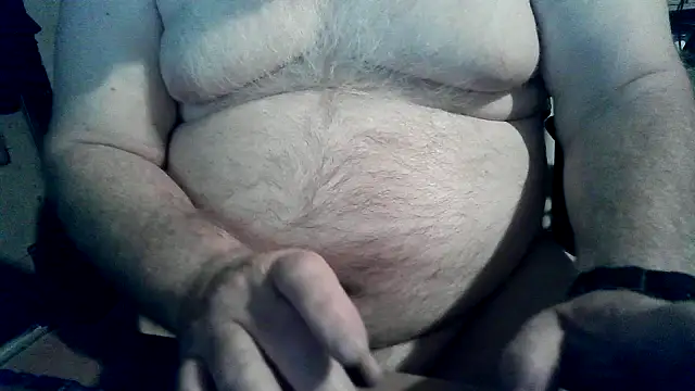 phlwiss – webcam-show