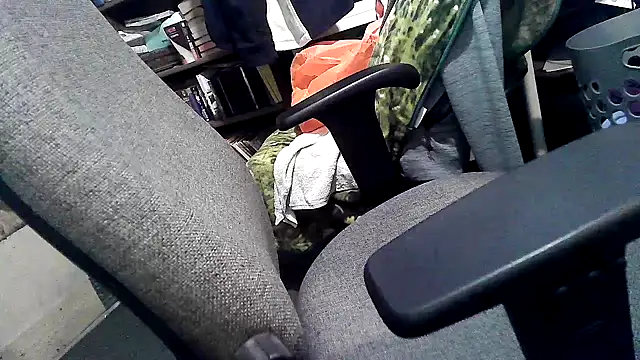 phlwiss' Webcam Show