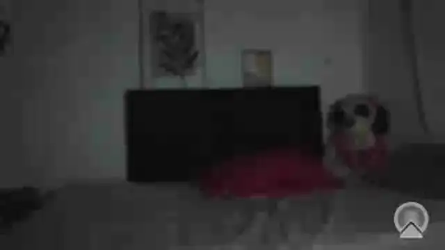 Miia_coollins Live XXX Chat