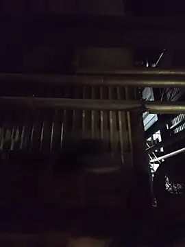 Ambooli 网络视讯表演