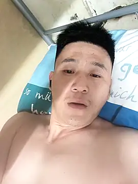 wadmma 网络视讯表演