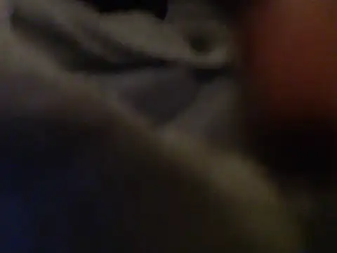 Lily____'s Live XXX Chat