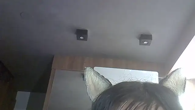 Chat +18 de SkinnyKitten ao vivo