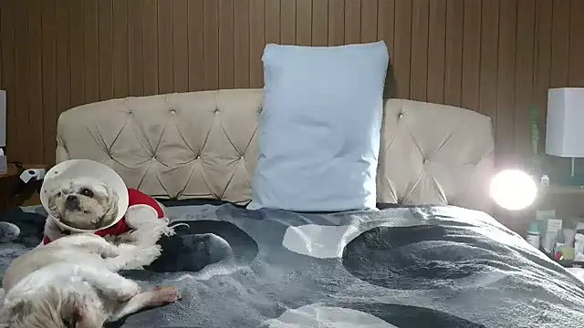 XXX chat uživo modela Kellynha_Sweet