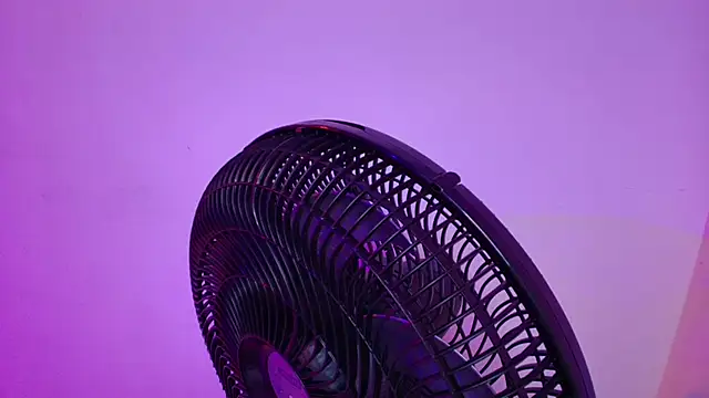 Sammy_mauzy 现场XXX聊天