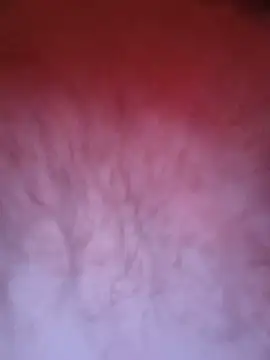 Kw8585kw 即時 XXX 聊天