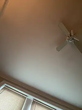 Show de webcam de chi-cock