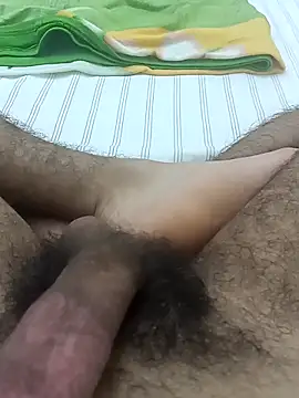 Show de OwlishBargain na webcam