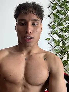 Show webcam de NelModel1