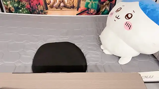 Shinjo-kun Show Webcam