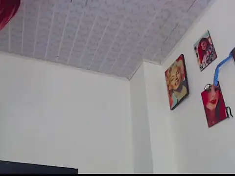 Show webcam de voguebichh