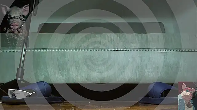 Alphacashmaster777のウェブカメラショー