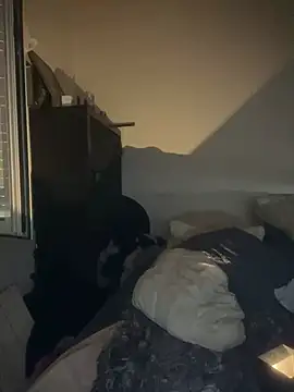 donimani webcam show