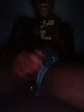 Thirusappi Pertunjukan Webcam