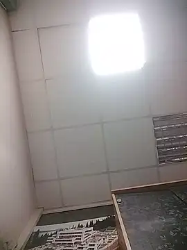 Pokazy przed kamerką – L-AN-A