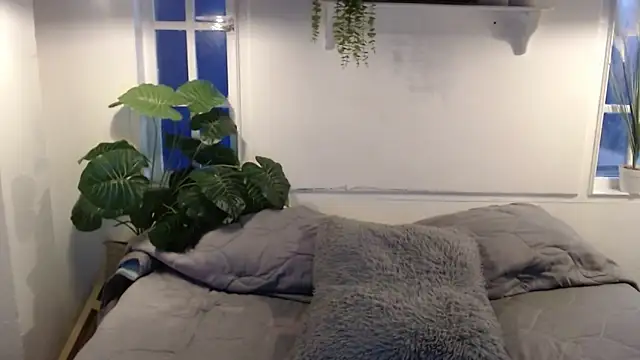 Jesve 라이브 XXX 채팅