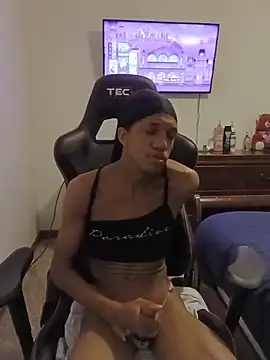 AlphaPremiere Webcam show