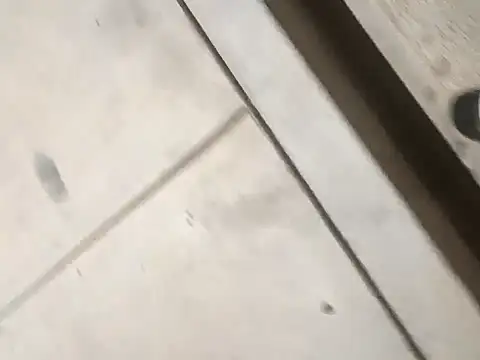 crazycam619 ওয়েবক্যাম শো