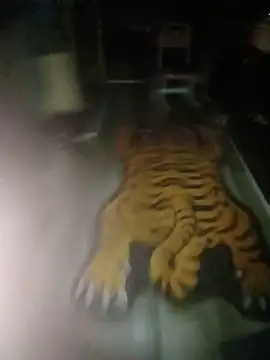 EzE369mgm ওয়েবক্যাম শো