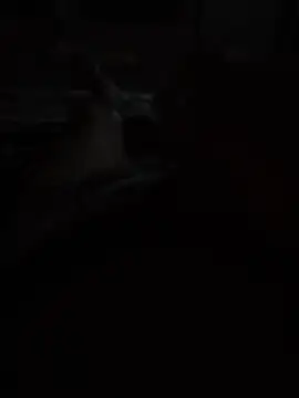 Antonn6969のウェブカメラショー