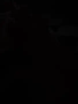 Antonn6969n Webbikameraesitys