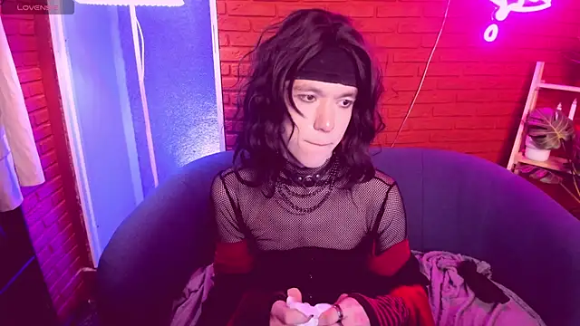 Show Webcam de ShinMe