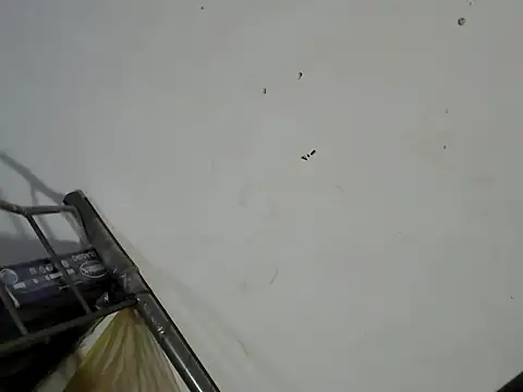 Almoghty_Maria Pertunjukan Webcam