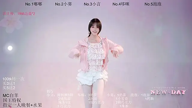 NEW-DAYn Webbikameraesitys