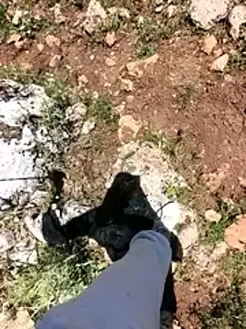دردشة Sert_erkek21_ysm الجنسية المباشرة