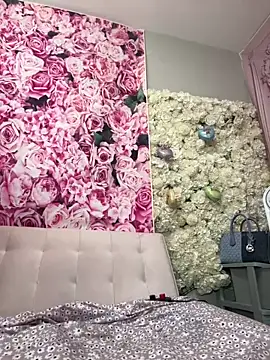 Show modela mismialove na web-kameri
