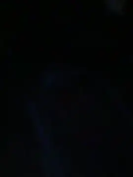 stressrliver88's Live XXX Chat