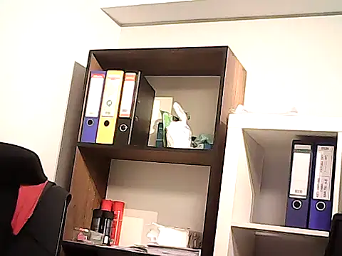 mastercharisma35 Webcam-Show